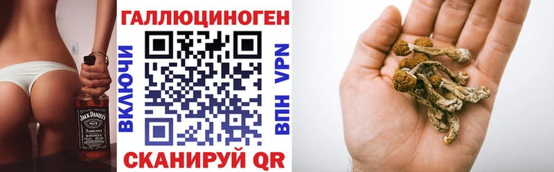 Псилоцибиновые грибы Psilocybine cubensis  наркота  Владикавказ 