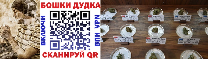 Шишки марихуана Amnesia  сколько стоит  Владикавказ 